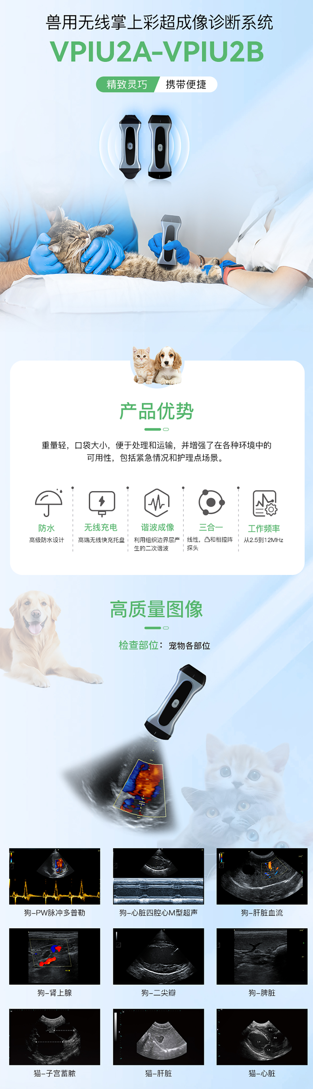 掌超中文_02